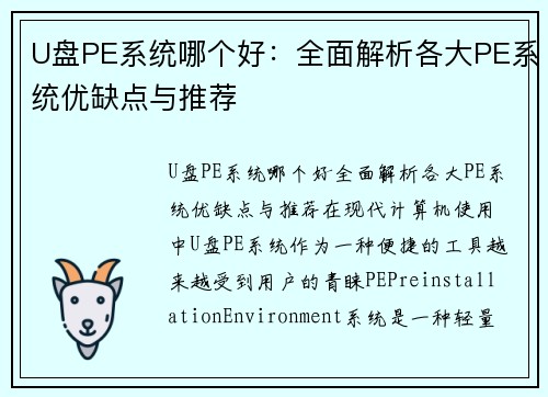 U盘PE系统哪个好：全面解析各大PE系统优缺点与推荐
